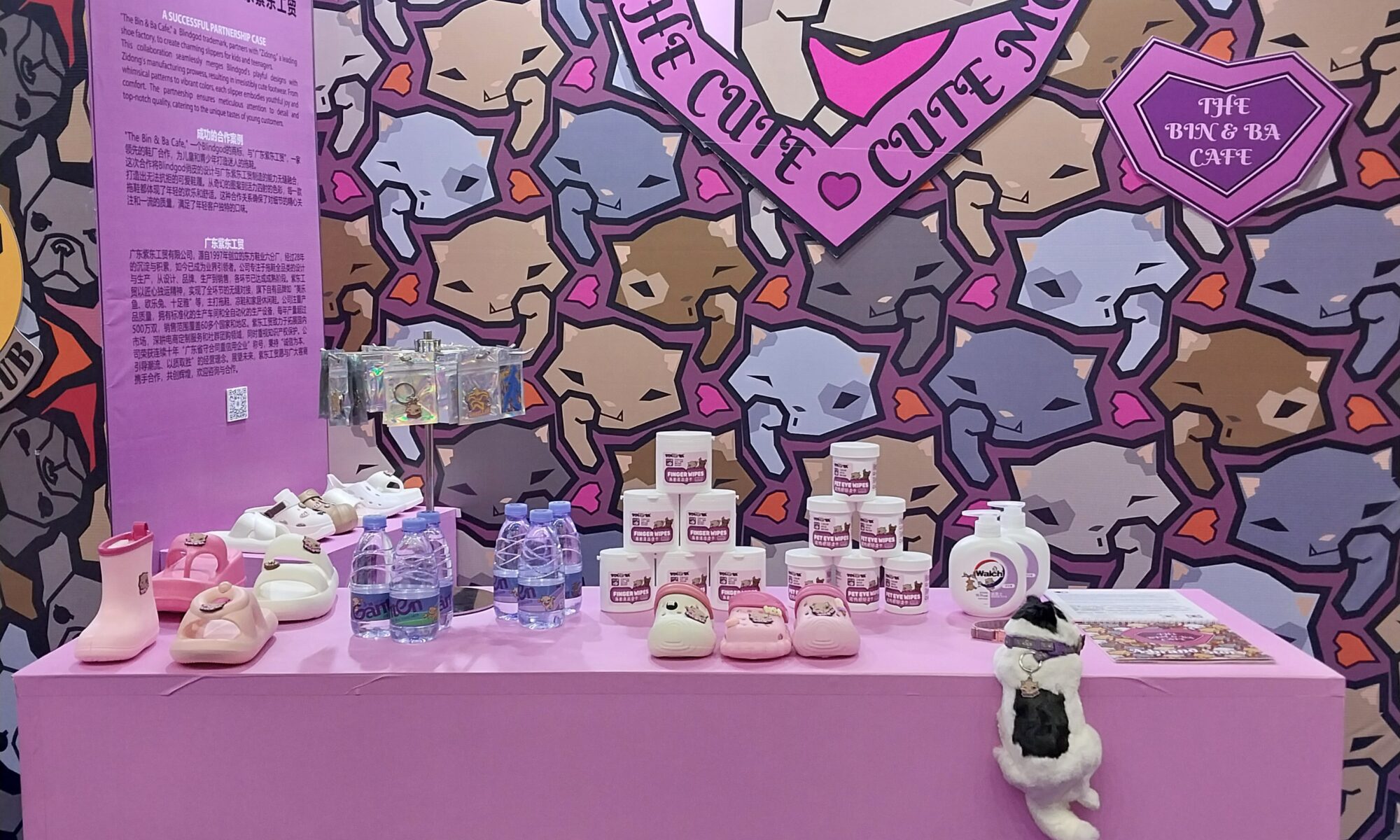 IPX Fair